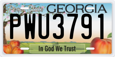 GA license plate PWU3791
