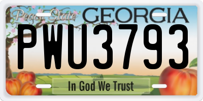 GA license plate PWU3793
