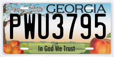 GA license plate PWU3795