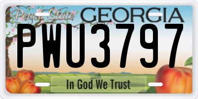 GA license plate PWU3797