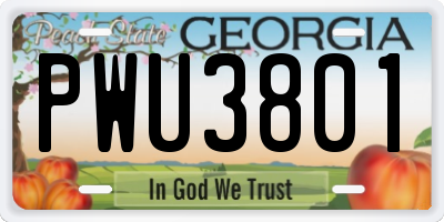 GA license plate PWU3801
