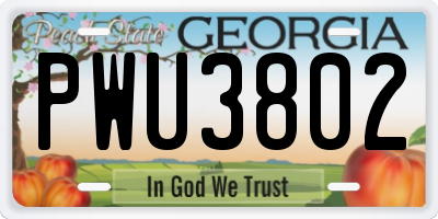 GA license plate PWU3802