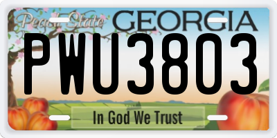 GA license plate PWU3803