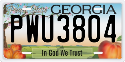 GA license plate PWU3804