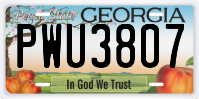GA license plate PWU3807