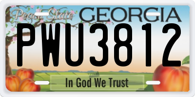 GA license plate PWU3812