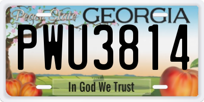 GA license plate PWU3814