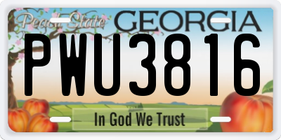GA license plate PWU3816