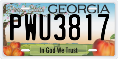 GA license plate PWU3817