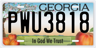 GA license plate PWU3818