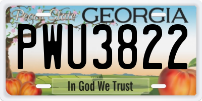 GA license plate PWU3822