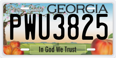 GA license plate PWU3825