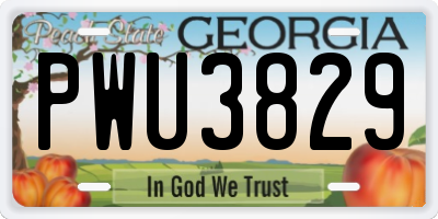 GA license plate PWU3829