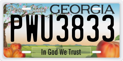 GA license plate PWU3833