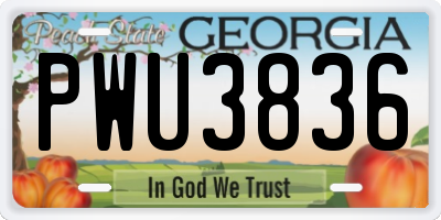 GA license plate PWU3836