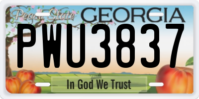 GA license plate PWU3837
