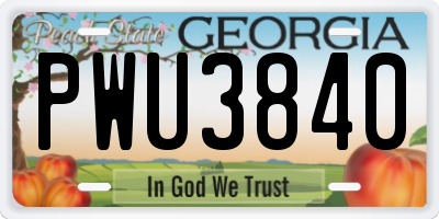 GA license plate PWU3840