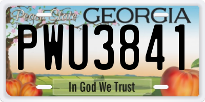 GA license plate PWU3841