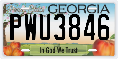 GA license plate PWU3846