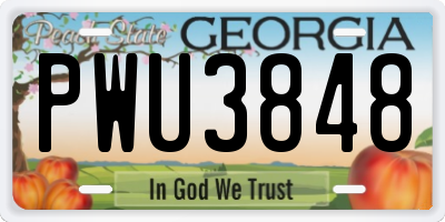 GA license plate PWU3848