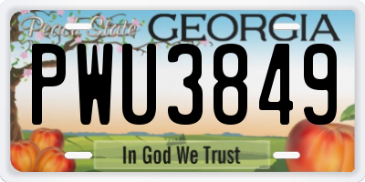 GA license plate PWU3849