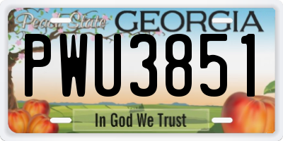 GA license plate PWU3851