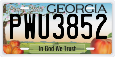 GA license plate PWU3852