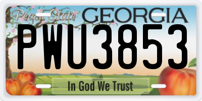 GA license plate PWU3853