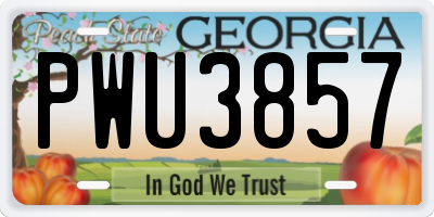 GA license plate PWU3857