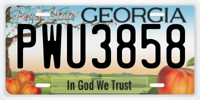GA license plate PWU3858