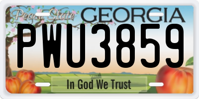GA license plate PWU3859
