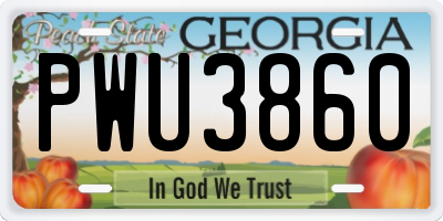 GA license plate PWU3860