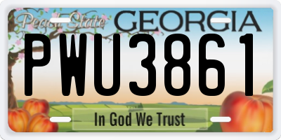 GA license plate PWU3861