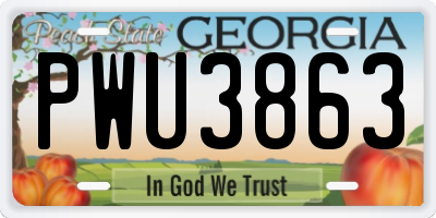 GA license plate PWU3863