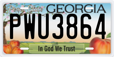 GA license plate PWU3864