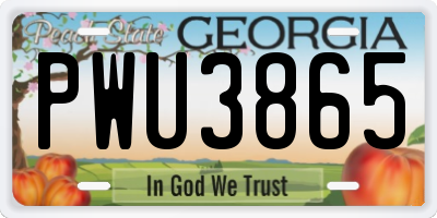 GA license plate PWU3865