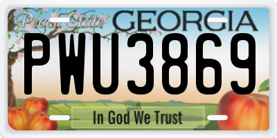 GA license plate PWU3869