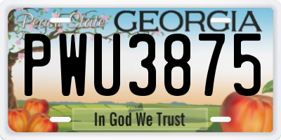 GA license plate PWU3875