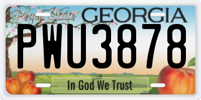 GA license plate PWU3878