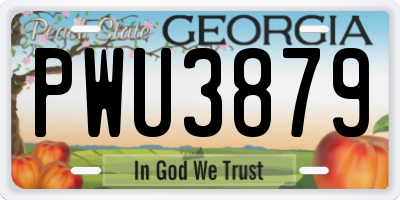 GA license plate PWU3879
