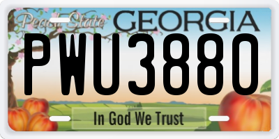 GA license plate PWU3880