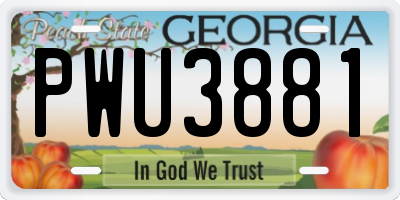GA license plate PWU3881