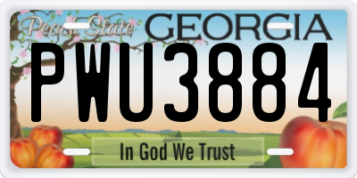 GA license plate PWU3884
