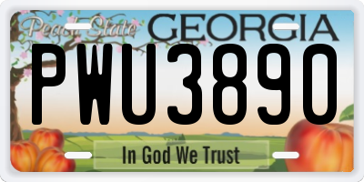 GA license plate PWU3890