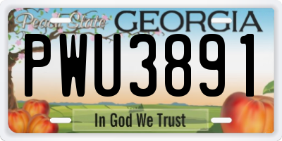 GA license plate PWU3891