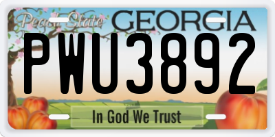 GA license plate PWU3892