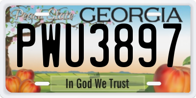 GA license plate PWU3897