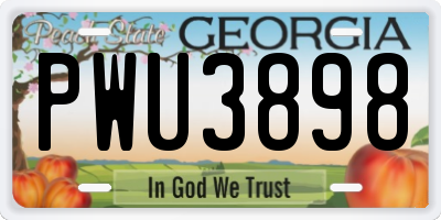GA license plate PWU3898
