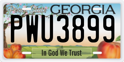 GA license plate PWU3899
