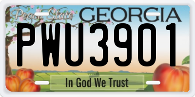 GA license plate PWU3901
